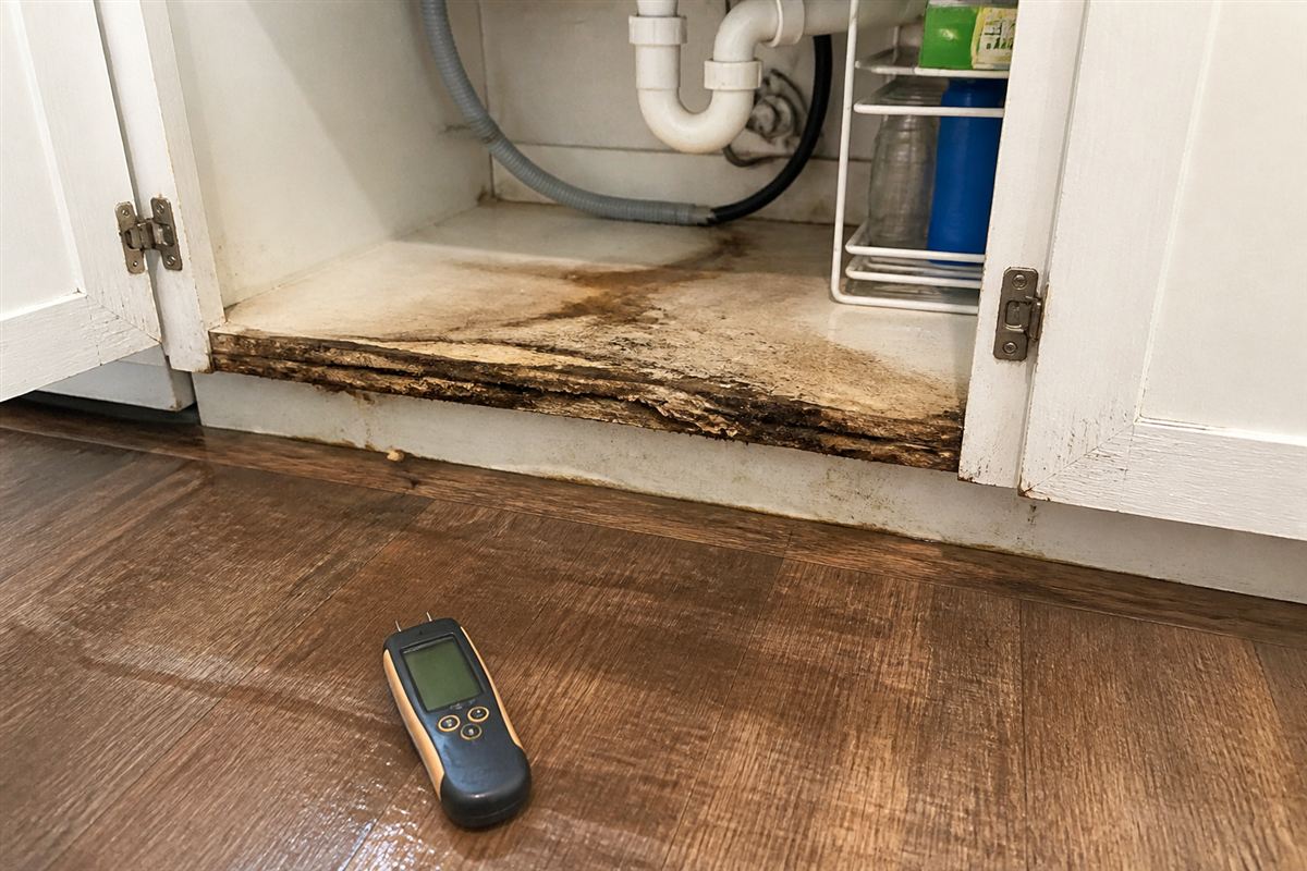 Kitchen still suitable as a close-up or overview at a room waypoint