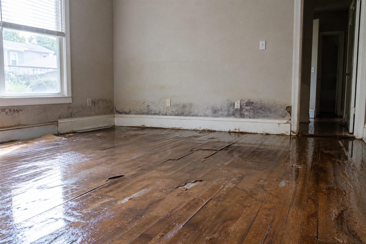 Interior still of a living room — pair overview photos with a 360 at the same waypoint